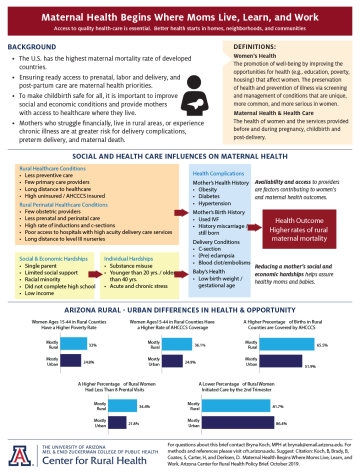 Maternal Health Workforce Brief