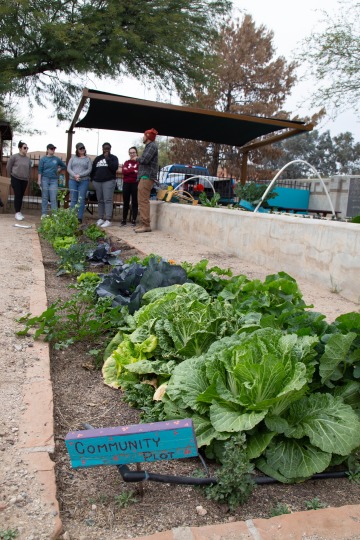 students stand around a vegetable garden