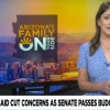 Screen shot of news broadcast